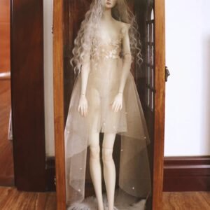 Blythe/BJD dollhouse dioramaroom French room box DOLLSHOWCASE/DISPLAYCASE/CARRYCASE FOR BJD 1/3 SIZE AND BLYTHE09